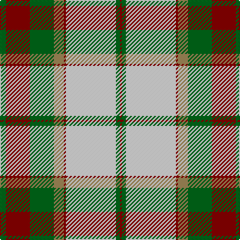 G/6 DR24 G24 LT10 DR2 LN50 G4 DR/2 tartan Tartan detail