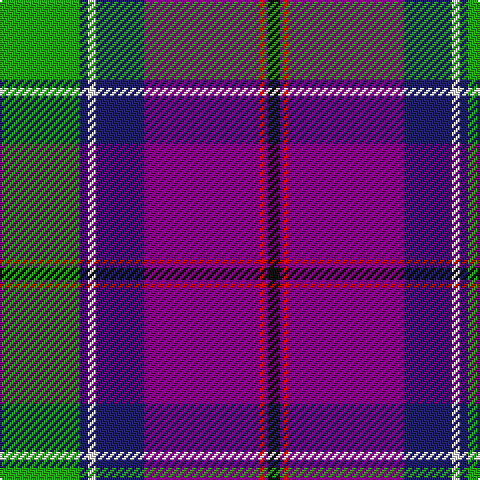 G/40 DB4 W4 DB24 P58 R2 P2 K/6 tartan Tartan detail