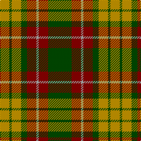 DY/16 G4 DY16 G10 DR16 N4 DR16 G/40 tartan Tartan detail