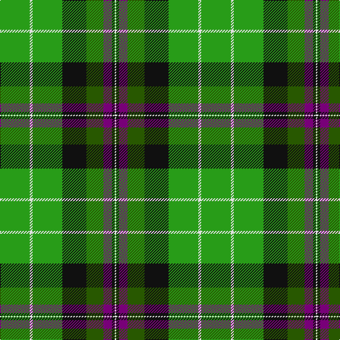 Tartan detail