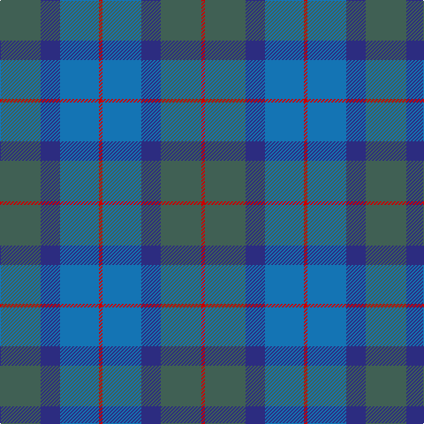 N/46 DB22 B44 R4 B44 DB22 N46 R/4 tartan Tartan detail