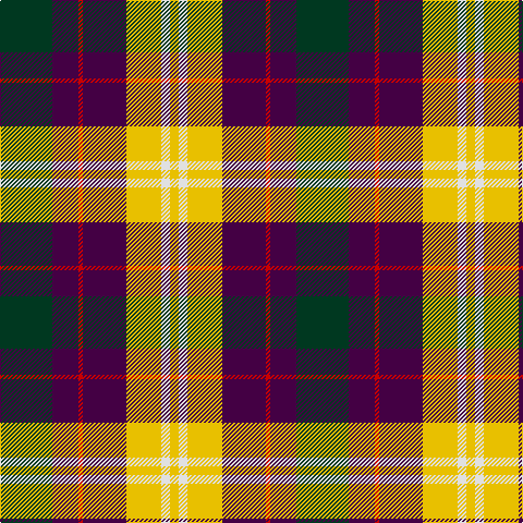 Tartan detail