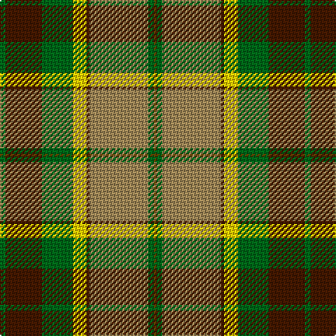 G/4 DR26 G22 Y10 DR2 LT42 G4 T/2 tartan Tartan detail