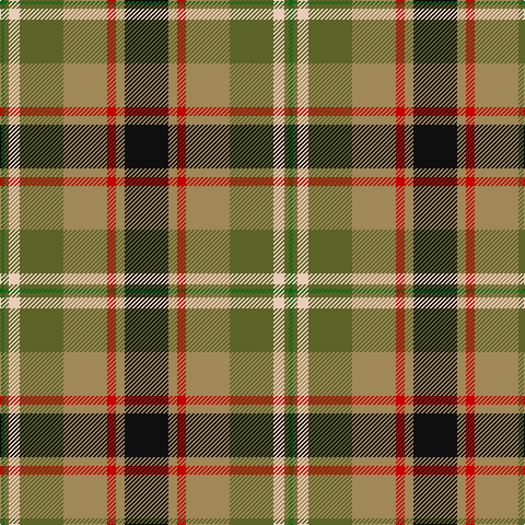 Tartan detail