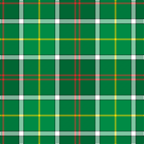 Tartan detail