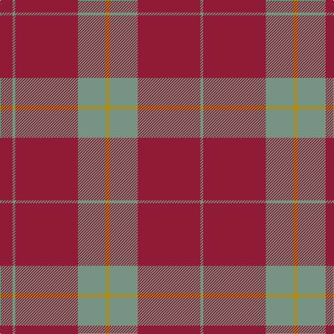 Tartan detail