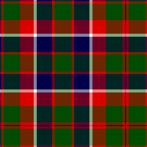 DB/4 R8 G54 R44 W10 DB50 R8 G/56 tartan Tartan detail