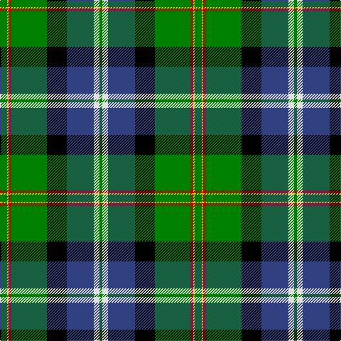 G/4 LN8 B38 K28 G50 R4 Y2 G/10 tartan Tartan detail