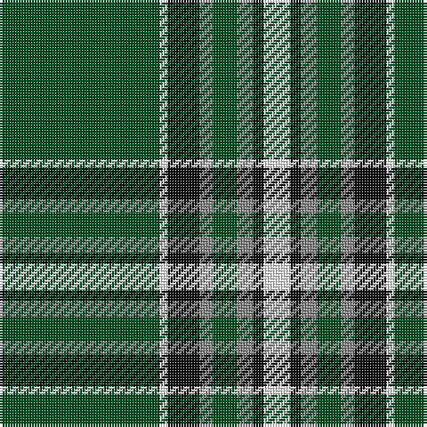 G/60 W3 K12 N5 G9 N6 K4 W/10 tartan Tartan detail