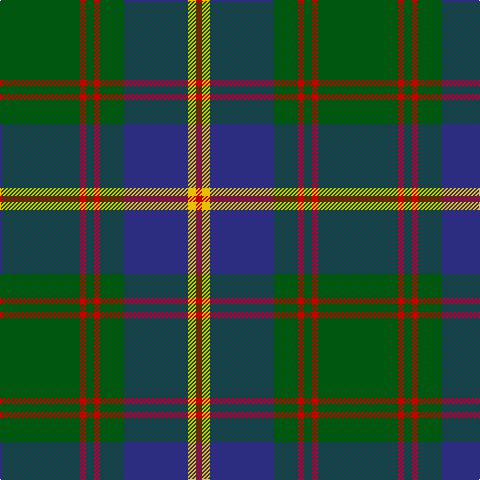 G/80 R6 G8 R6 G24 DB64 Y8 R/6 tartan Tartan detail