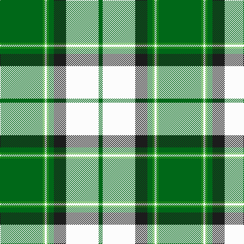 G/84 Ga4 W4 Ga4 G10 K24 W64 G/8 tartan Tartan detail