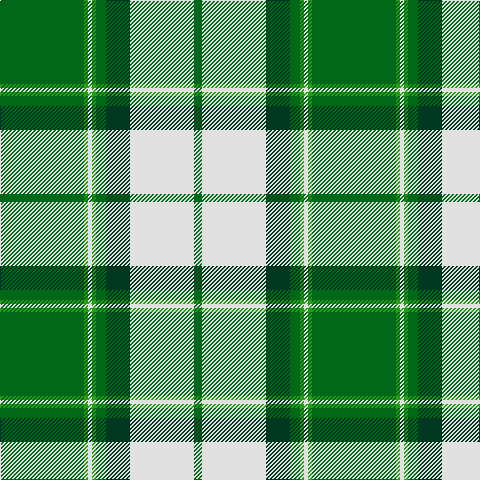 G/84 Ga4 LN4 Ga4 G10 DG24 LN64 G/8 tartan Tartan detail
