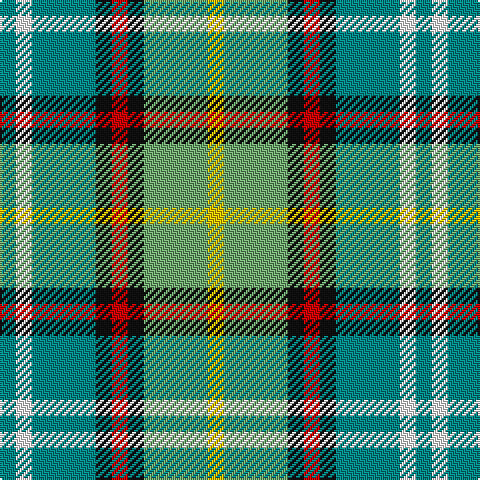 Tartan detail