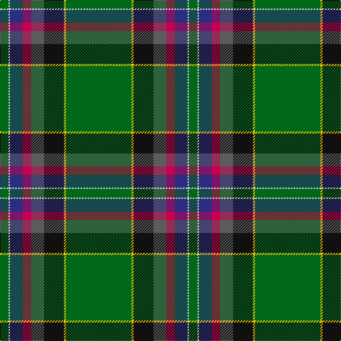 G/12 LN2 DB18 R12 N18 K28 Y3 G/92 tartan Tartan detail