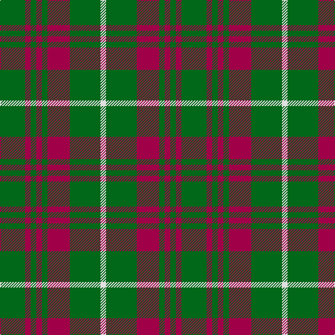 G/36 R8 G8 R8 G8 R32 G44 LN/8 tartan Tartan detail