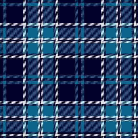 DB/10 B10 DB60 LN9 DB7 B36 LN6 DB/6 tartan Tartan detail