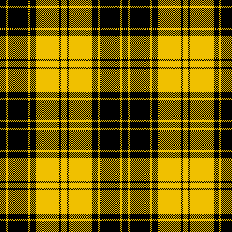 K/12 Y4 K42 Y4 K12 Y48 K4 Y/12 tartan Tartan detail