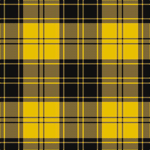 Tartan detail