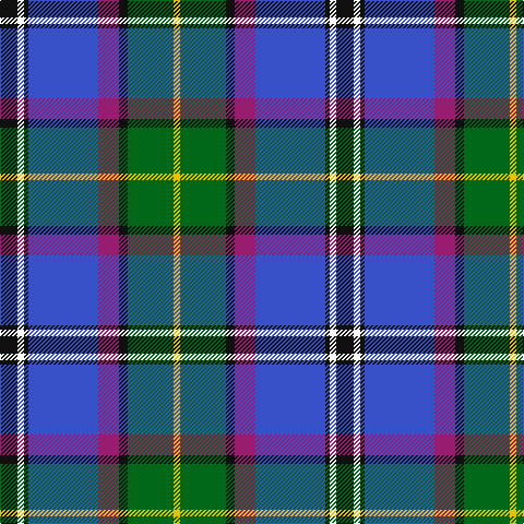 Tartan detail