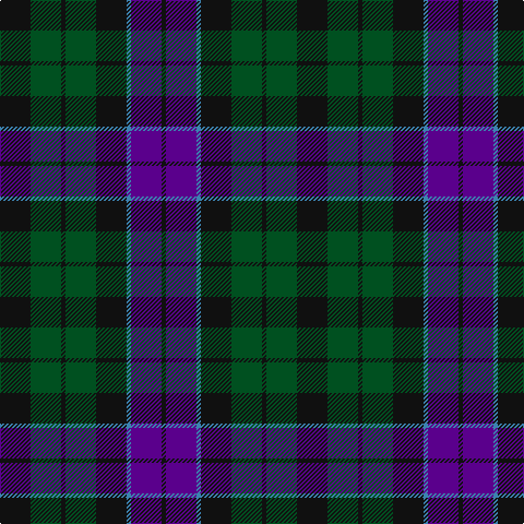 K/28 G28 K4 G28 K28 B4 P28 K/4 tartan Tartan detail