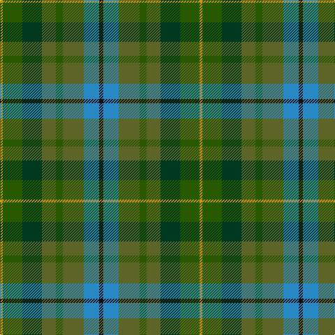 Tartan detail