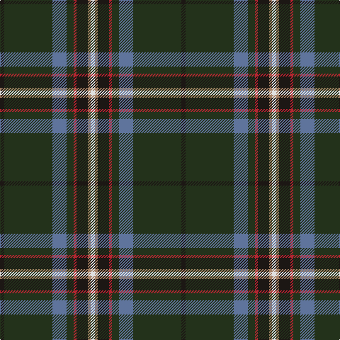 Tartan detail
