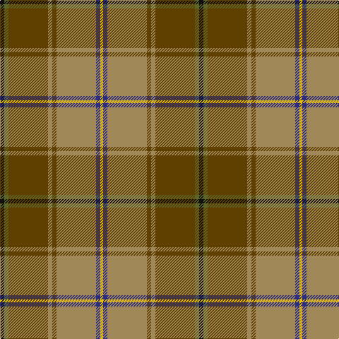 Tartan detail
