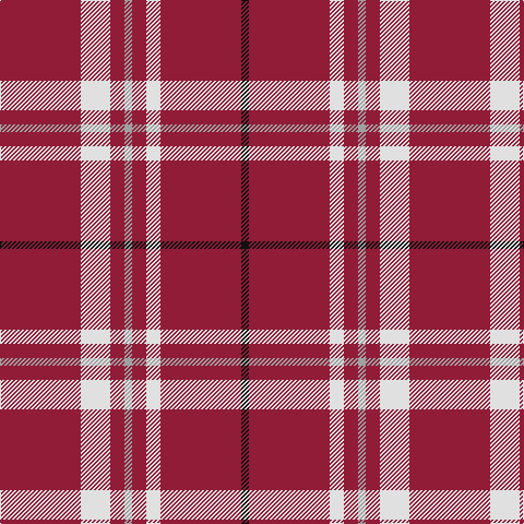 Tartan detail