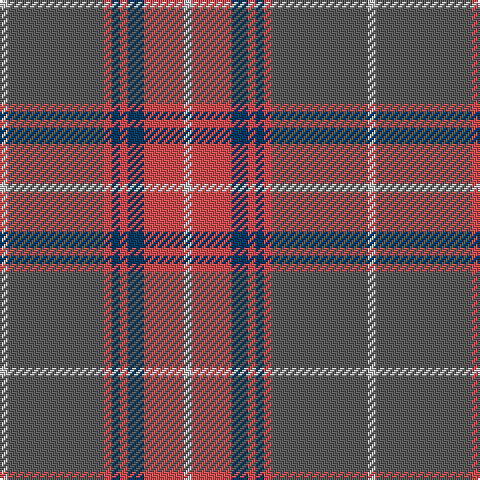 Na/4 DO20 DB8 DO4 DB4 DO4 N48 Na/4 tartan Tartan detail