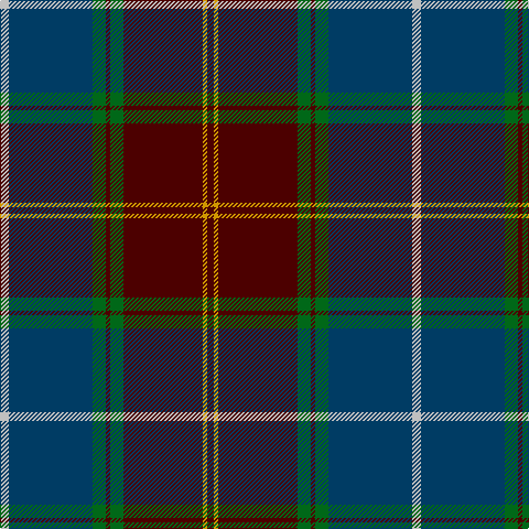 DR/6 DY4 DR72 G12 DR4 G12 DB76 N/8 tartan Tartan detail