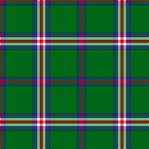 R/6 DB8 DBa4 G86 DBa4 DB12 W8 R/10 tartan Tartan detail