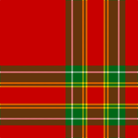 R/228 G20 LN6 G32 Y6 G6 Y6 R/56 tartan Tartan detail