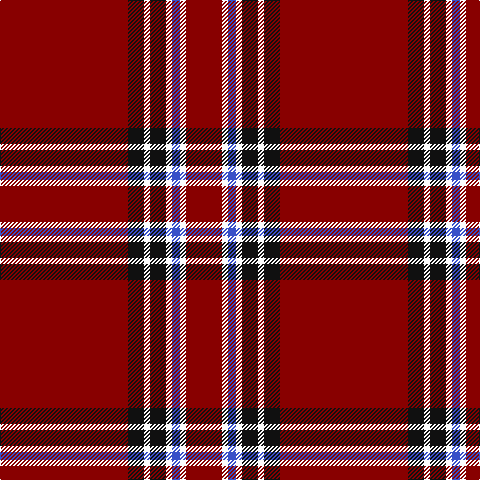 DR/128 K16 W6 K16 W6 B8 W6 DR/36 tartan Tartan detail