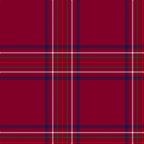 DR/150 DB12 DR12 W4 DR12 G4 DR12 R/4 tartan Tartan detail