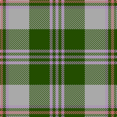 Tartan detail
