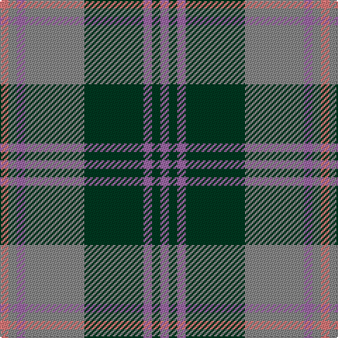 Tartan detail