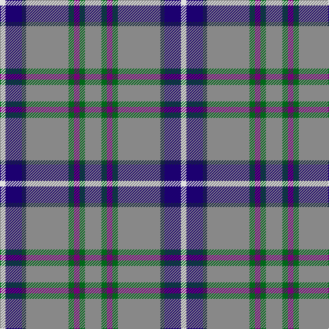 LN/8 DB24 DN6 N62 G8 P8 G8 N/24 tartan Tartan detail