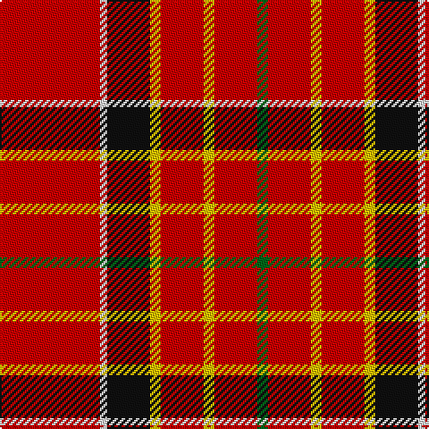 R/56 LN4 K24 Y6 R24 Y6 R24 G/6 tartan Tartan detail