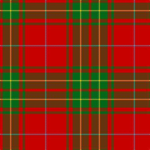 B/4 R64 G8 R12 G24 Y4 G24 R/8 tartan Tartan detail