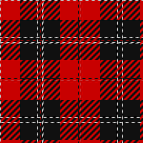 N/2 R4 K2 R60 K56 N4 K6 R/2 tartan Tartan detail