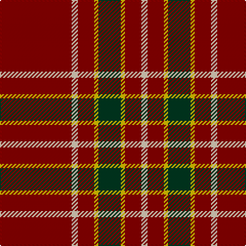 Tartan detail