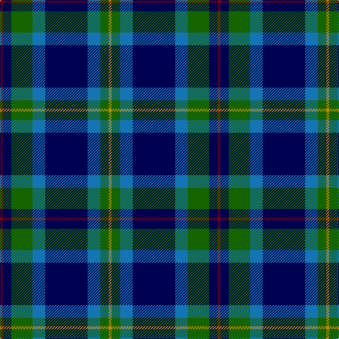 DR/4 DB12 G30 B18 DB60 B18 G12 DY/4 tartan Tartan detail