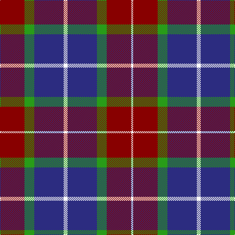 DR/50 G20 DB60 W8 DB60 G20 DR50 W/4 tartan Tartan detail