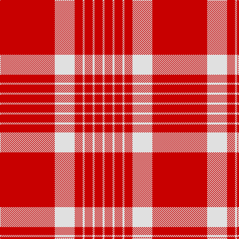 LN/4 R16 LN4 R16 LN4 R16 LN40 R/110 tartan Tartan detail
