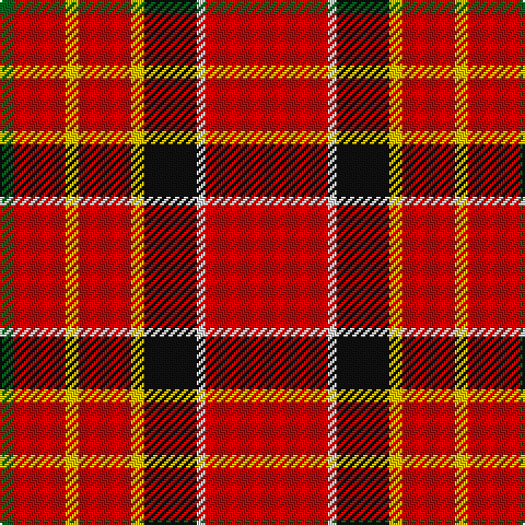 G/6 R24 Y6 R24 Y6 K24 LN4 R/56 tartan Tartan detail