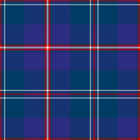 R/6 DB8 W4 DB66 DBa64 DB4 R8 W/6 tartan Tartan detail