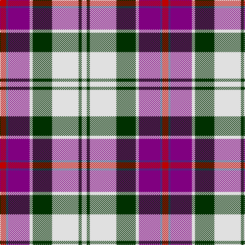 LN/10 DG6 LN52 DG38 LN6 P42 B4 R/12 tartan Tartan detail
