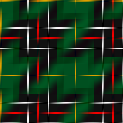 Tartan detail