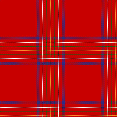DY/4 R12 G4 R12 W4 R12 DB12 R/150 tartan Tartan detail