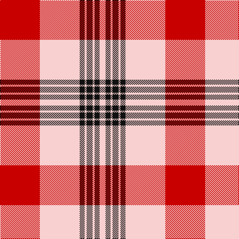 R/80 W80 K10 W4 K12 W4 K10 W/12 tartan Tartan detail